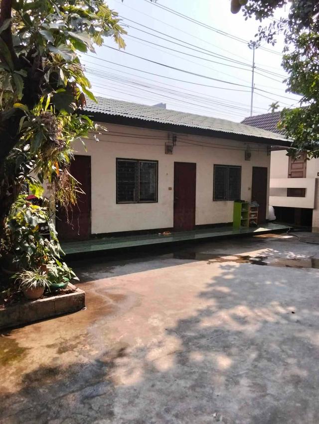 🧿💸บ้านอยู่แล้วรวย 💸🧿ที่ #เชียงใหม่  🚩 อ.เมือง จ.เชียงใหม่พื้น ที่ 192 ตรวา.  หน้าขว้าง 40 เมตร ลึก 20 เมตรพื้นที่หน้าบ้านและข้างกว้างมาก 6