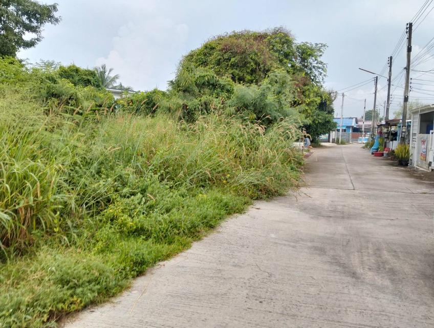 ที่ดิน 113 ตรว.ตะเคียนเตี้ย หลัง Big C ใกล้ถนน 4094 แค่ 100 เมตร 3