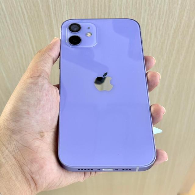 iPhone 12 Purple  2