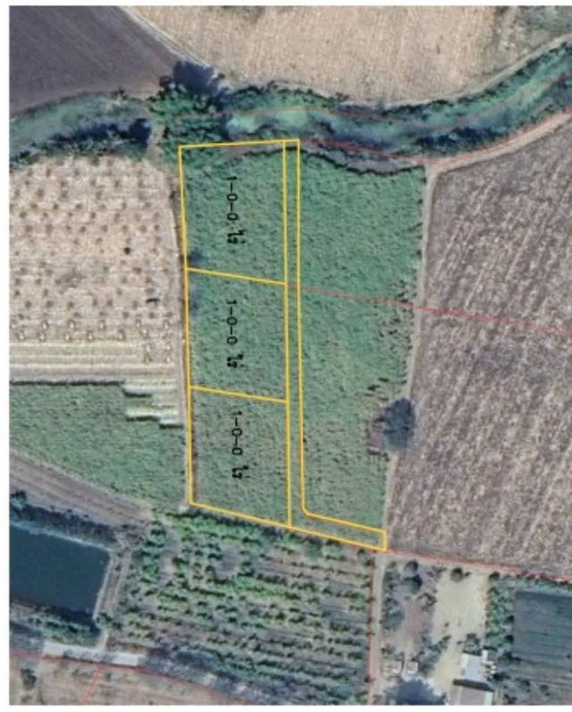 ประกาศขายที่ดินปากช่องแุถวรีสอร์ทบ้านนอกคอกนา ของฉันเอง 1