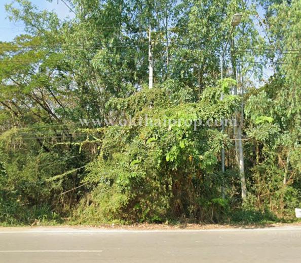 ที่ดินพร้อมต้นสักแปลงมุม ติดถนนลำปางหลวง ใกล้เทศบาลตำบลลำปางหลวง  8