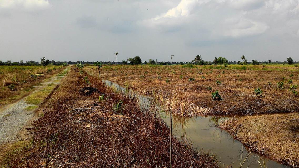 ที่ดิน ใกล้ วัดเจดีย์หอย 8