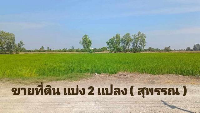 ขายที่ดิน เเบ่งเเปลงขาย ใกล้ตัวเมืองสุพรรณ น้ำไฟ พร้อม