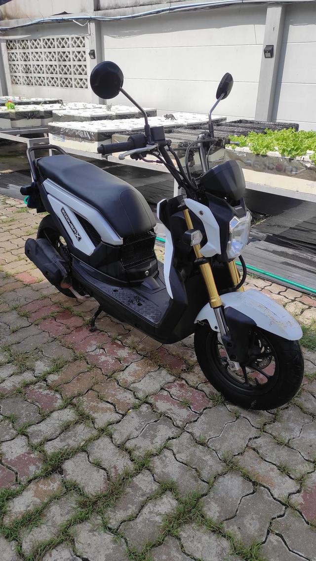 Honda Zoomer X 2012 จังหวัด สมุทรปราการ 5