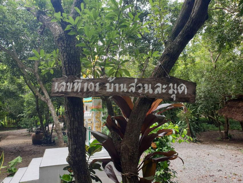 บ้านสวนละมุด 101 ขายที่ดินพร้อมบ้าน อำเภอบ้านลาด จังหวัดเพชรบุรี 2