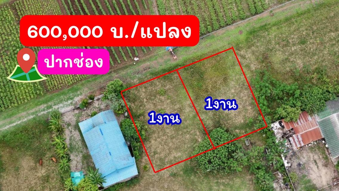ขายที่ดินหลังสถานีรถไฟความเร็วสูงปากช่อง   บ.เขาเสด็จ / ท่างอย  | ใกล้ริมน้ำ & วิวเขา ( น.ส.3ก ) ราคาพิเศษ!! 1