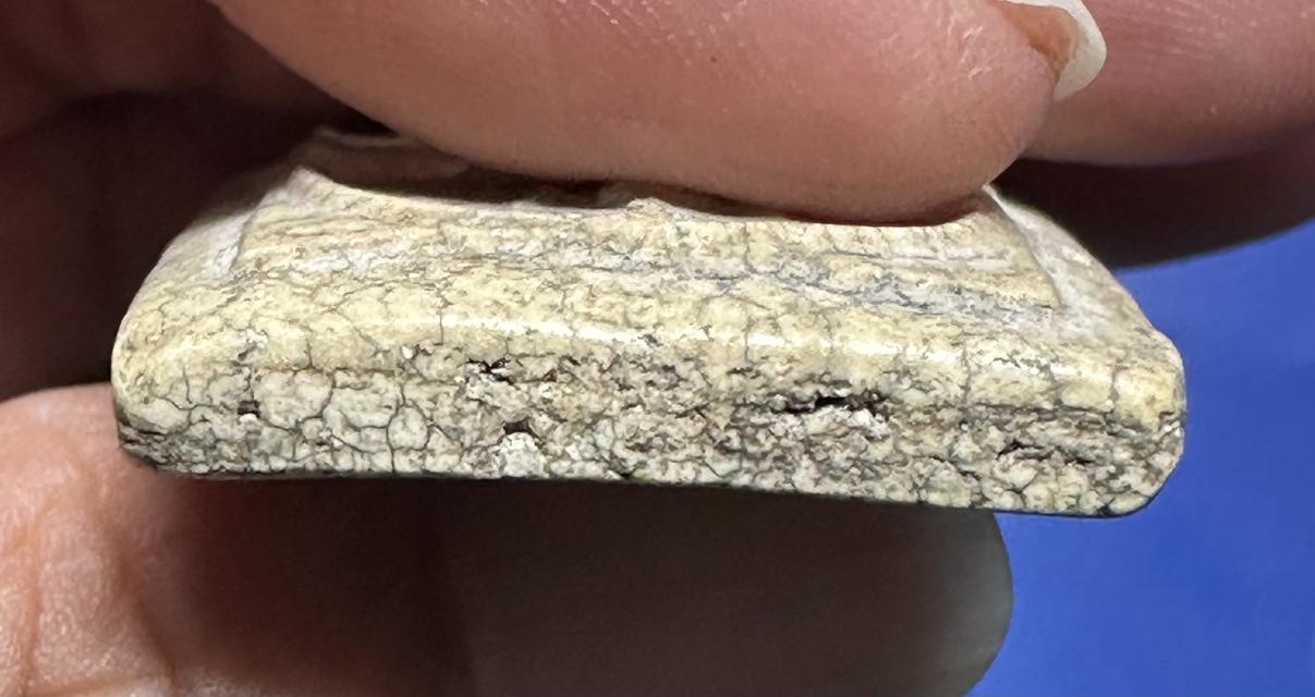 พระสมเด็จวัดเกศไชโย พิมพ์นักเลงโต 9