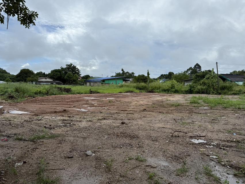 ที่ดิน 1