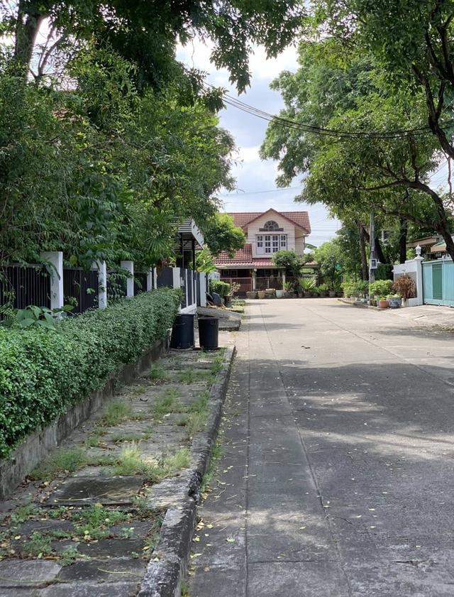 ให้เช่าบ้านเดี่ยว  2 ชั้น สัมมากร รามคำแหง 112  ตั้งอยู่ในบรรยากาศเงียบสงบ เป็นส่วนตัว 14