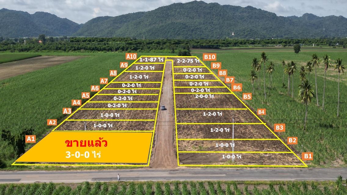 ที่ดินแบ่งขาย ต.ช่องสาริกา อ.พัฒนานิคม จ.ลพบุรี 4
