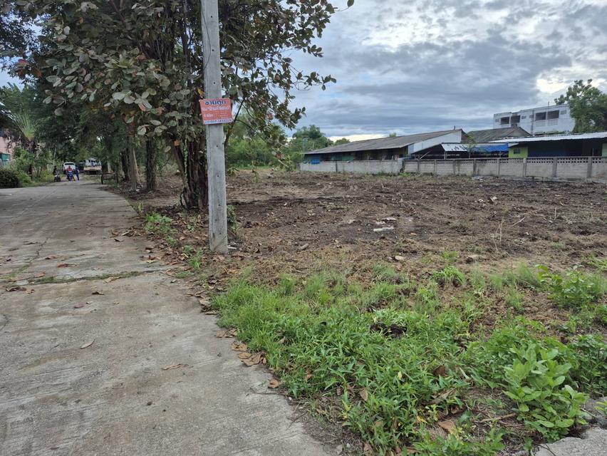 ที่ดิน ม.ฝ้ายคำแลนด์  ใก้ลนิคมฯ ต.บ้านกลาง อ.เมือง ลำพูน 4