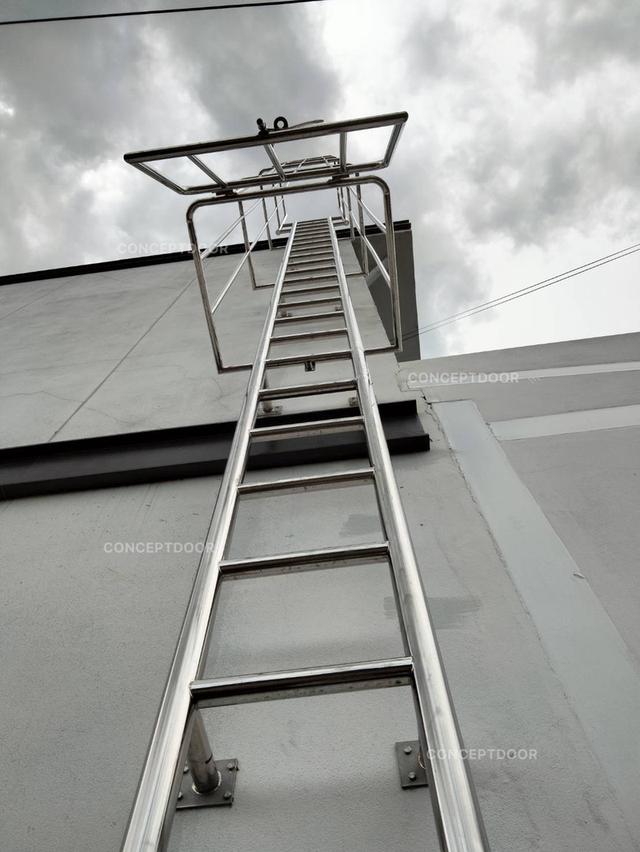 บันไดลิงสแตนเลส CDFL1