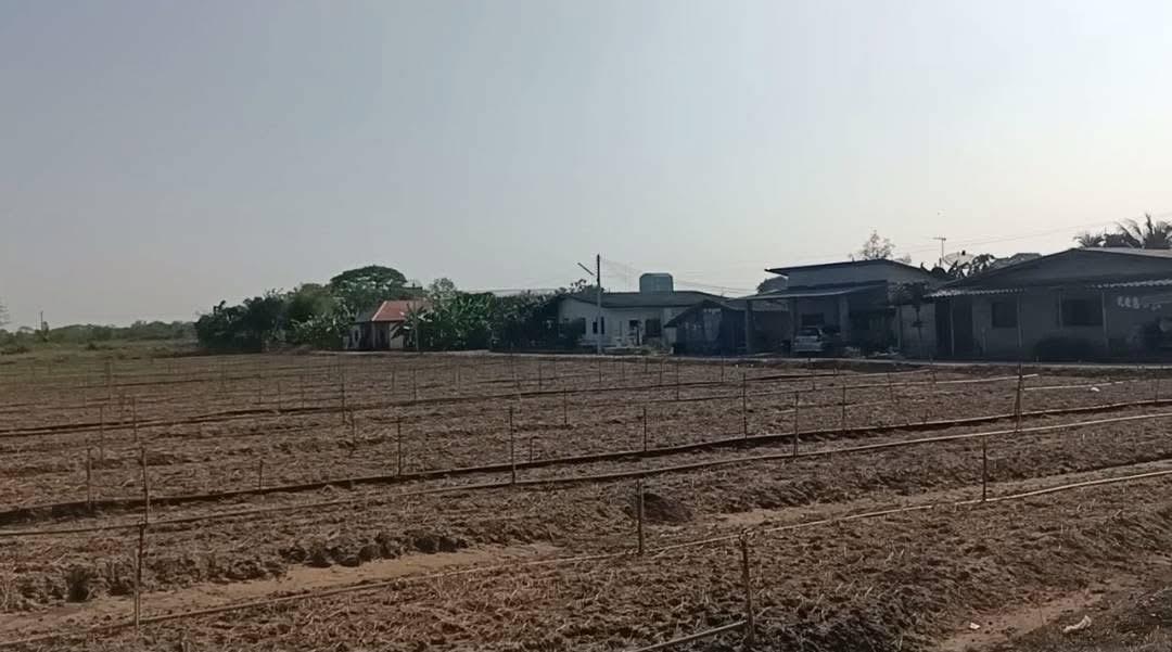 ที่ดินแปลงสวย ทำเลศักยภาพ ติดถนน-ติดคลองชลประทาน อ.กำแพงแสน จ.นครปฐม 4