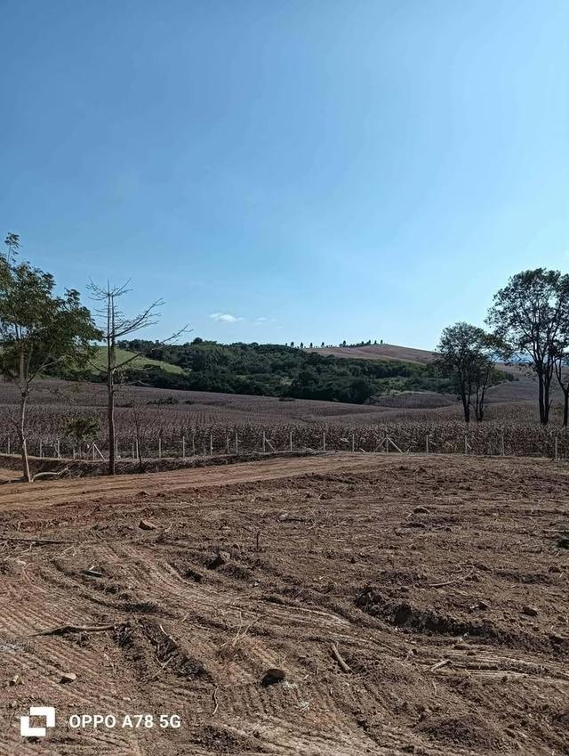 ที่ดินเปล่า ล้อมรั้วเรียบร้อย ถนน 3139 วังน้ำเขียว 7