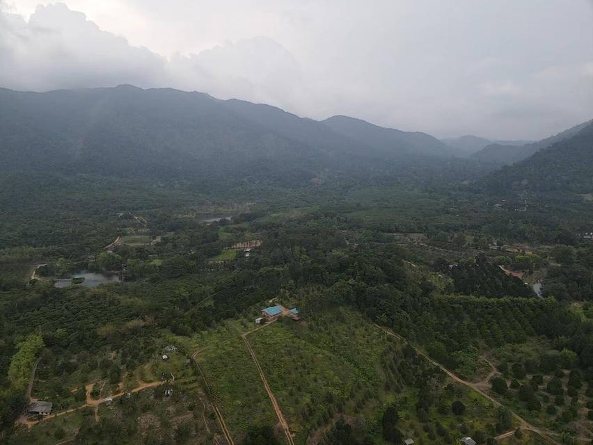 ที่ดินสวนทุเรียน ติดน้ำตกทุ่งเพล อ.มะขาม จ.จันทบุรี 10 ไร่ 5