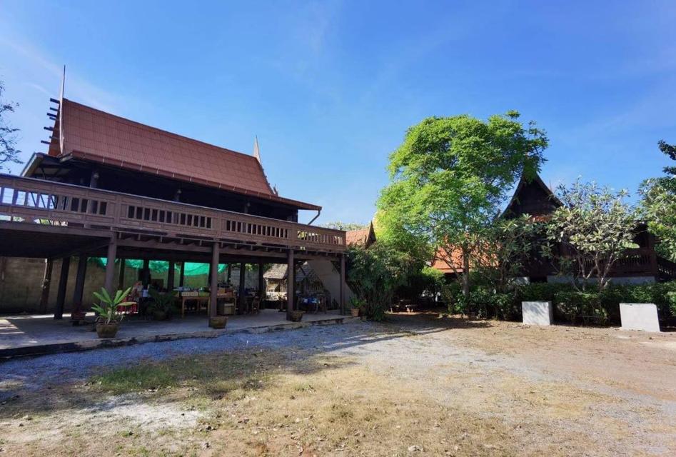 บ้านเรือนไทย สวยท่ามกลางธรรมชาติ บรรยากาศร่มรื่น วิวภูเขา บนพื้นที่ 1 ไร่ อู่ทอง สุพรรณบุรี 1