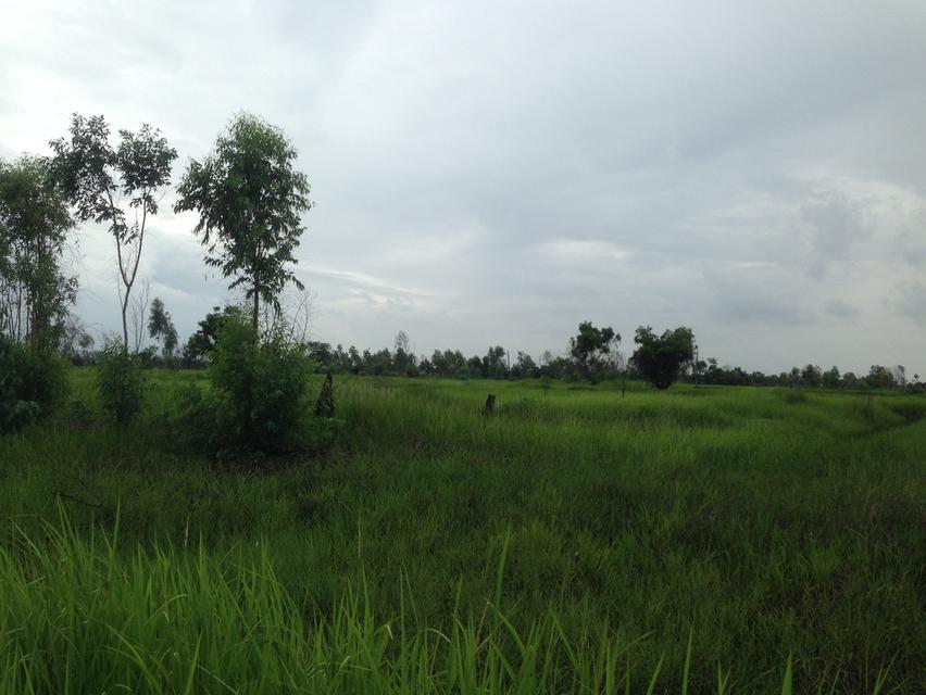 ðĢ āļāļēāļĒāļāļĩāđāļāļīāļ āļāļģāđāļ āļāļāļāļāļĢāļąāļāļĐāđ āļāļāļĢāļāļēāļĒāļ â 2 āđāļĢāđ 20 āļāļĢ.āļ§āļē āļŦāļĨāļąāļāļāļĨāļēāļāļāļāļāļĢāļąāļāļĐāđ â āđāļāđāļēâāļāļāļāđāļāđāļŦāļĨāļēāļĒāļāļēāļ â āđāļāļĨāđ āļĄāļĻāļ§.āļāļāļāļĢāļąāļāļĐāđ