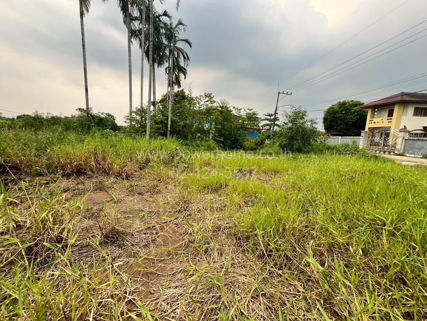 ที่ดินเปล่าถมแล้ว ซอยไอยรา ใกล้สํานักงานเทศบาลเมืองสนั่นรักษ์ ถนนรังสิต – นครนายก ต.หนองสามวัง อ.หนองเสือ จ.ปทุมธานี 7