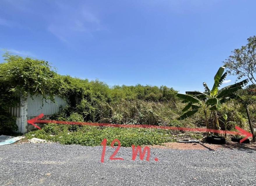 ขายที่ดิน ซ.ทุ่งมังกร 4  ฉิมพลี ตลิ่งชัน   1