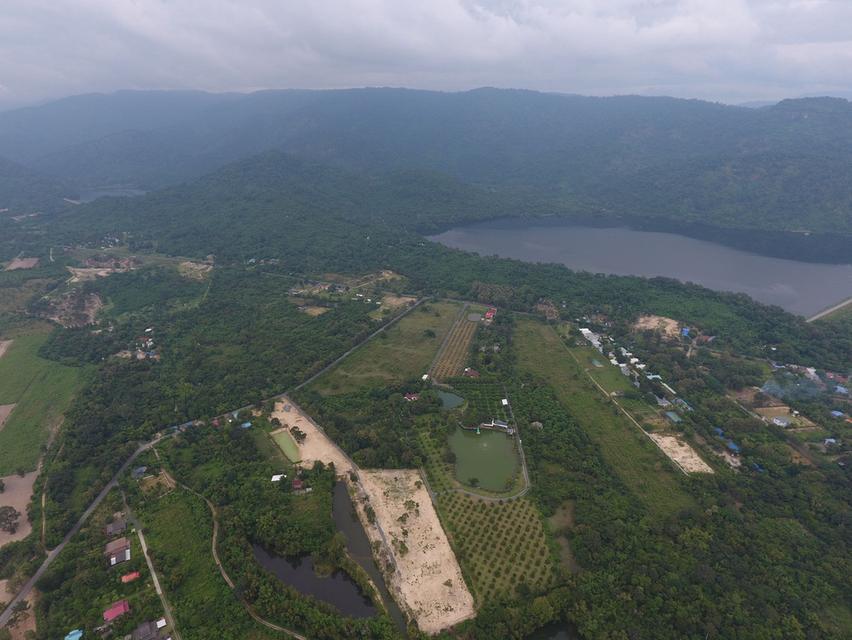 ที่ดินเขาพระ นครนายก 1