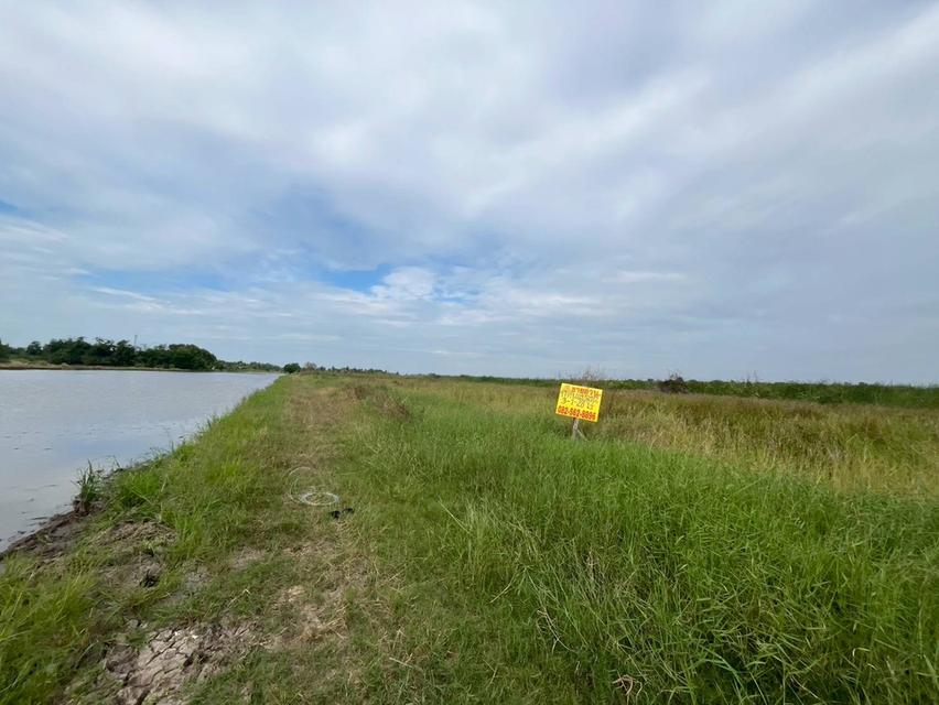 ขายที่ดินเปล่า ซอยผดุงพันธ์21 หนองจอก กรุงเทพมหานคร 2