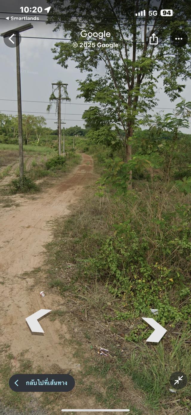 ขายที่ดินแปลงใหญ่อุดร100ไร่ 12