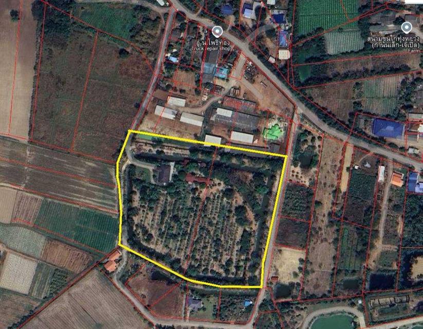 ขายที่ดินพร้อมบ้าน เนื้อที่ 19-3-66 ไร่ ต.ทุ่งหลวง อ.ปากท่อ ราชบุรี 14