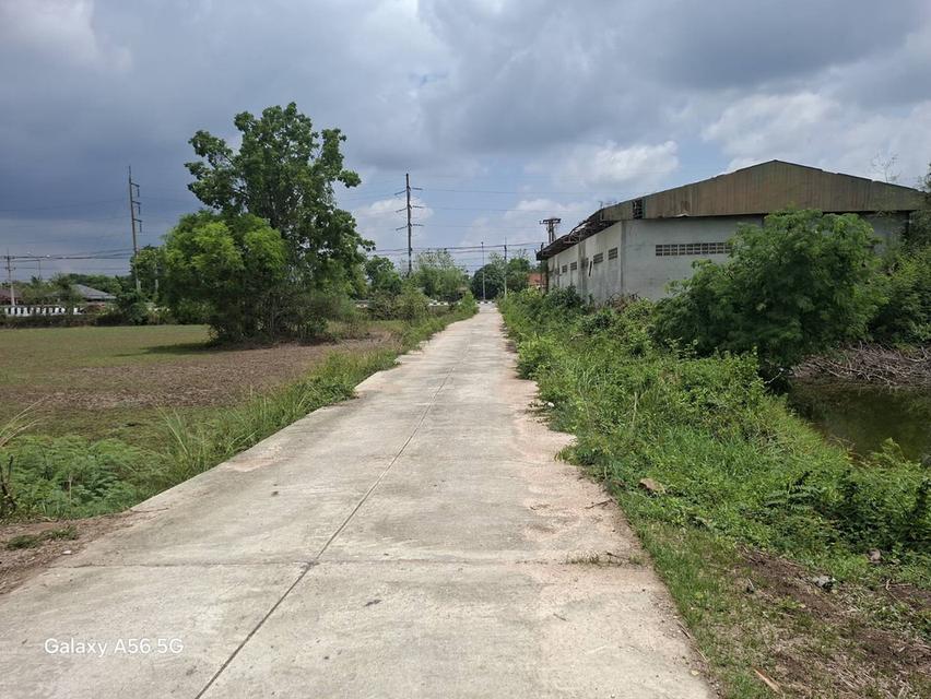 ขายที่ดิน 31 ไร่ 322 ตร.วา ติดถนนใหญ่ หนองขาหย่าง อุทัยธานี ผังเมืองสีชมพู 16