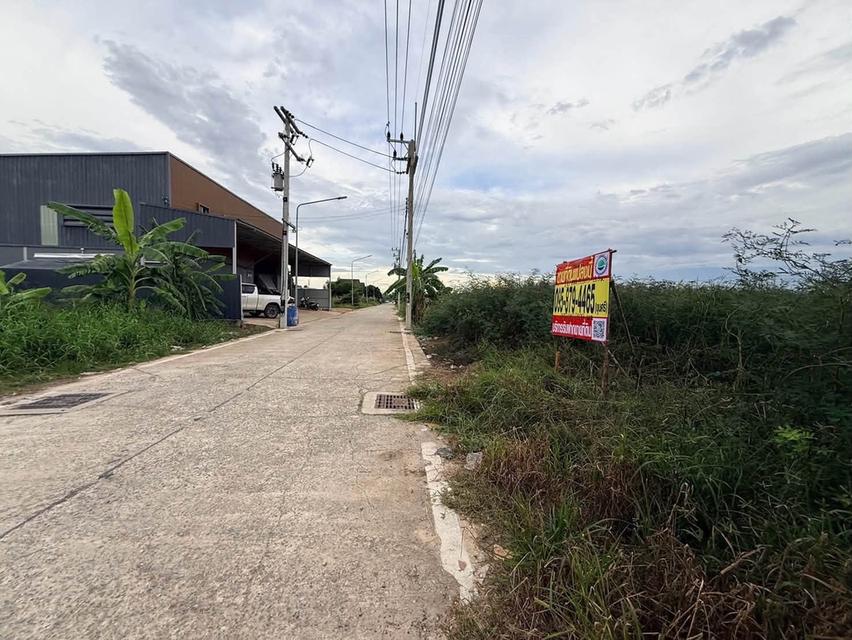 ขายด่วนที่ดิน 100 ตรว ติดถนนคอนกรีตสาธารณะ ซ.บงกช 71 อ.คลองหลวง จ.ปทุมธานี 3