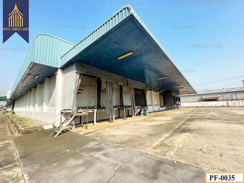 ขายโรงงาน ห้องเย็น ใกล้บ้านโพธิ์ ฉะเชิงเทรา คลองประเวศ ฉะเชิงเทรา 2