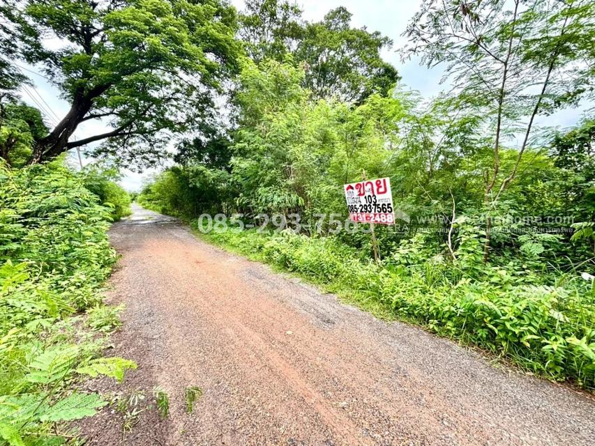 ขายที่ดิน ย่านหนองจอก ถนนคู้-คลองสิบ14 ซอยสวัสดิการแลนด์ แปลงมุม พื้นที่ 103.9 ตารางวา ราคาพิเศษเพียง 750,000 บาท บรรยากาศดี เงียบสงบ พื้นที่สีเขียว 8