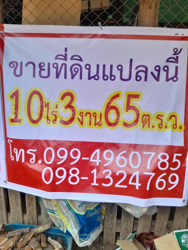 ที่ดิน 1