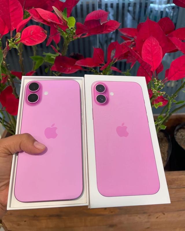 iPhone 16 plus สีชมพู 1