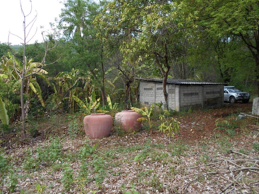 ที่ดินติดลำห้วย บ้านผาแดง ต.นายม อ.เมือง จ.เพชรบูรณ์ 8