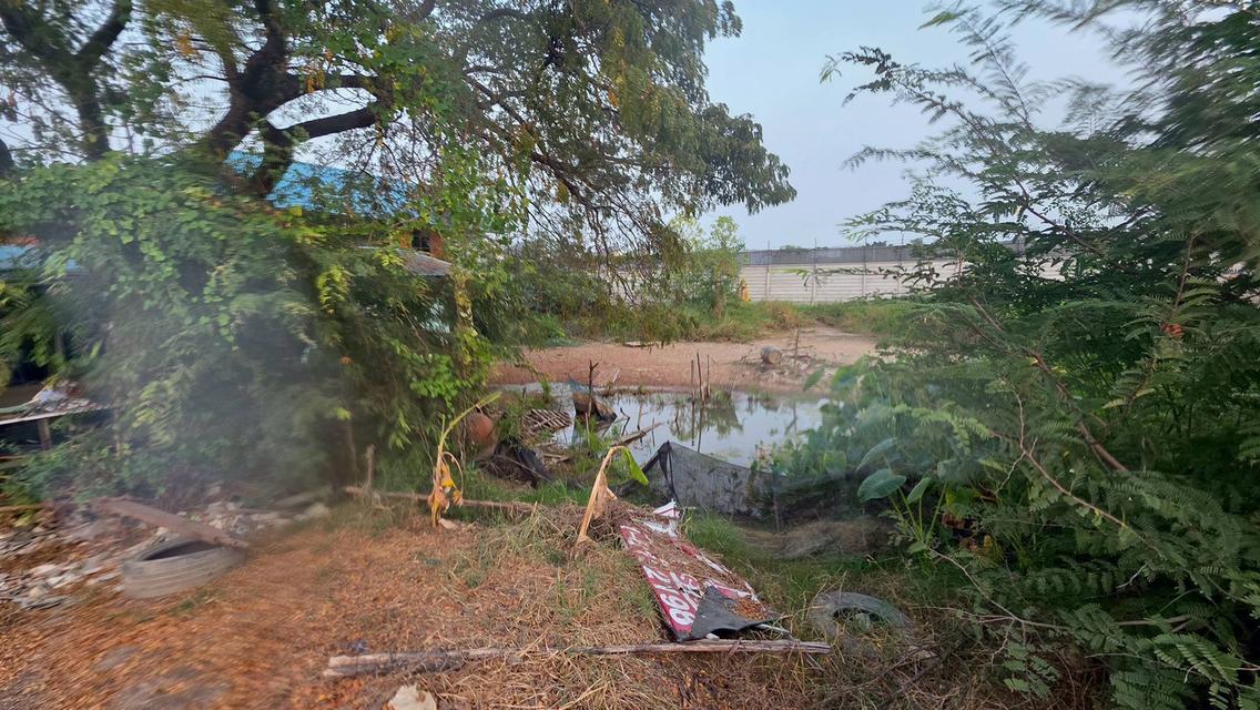 4/4 ม.6 ถ.โรงเรียนบ้านคลองเจ้าเมือง ต.คลองพระอุดม อ.ลาดหลุมแก้ว จ.ปทุมธานี 6