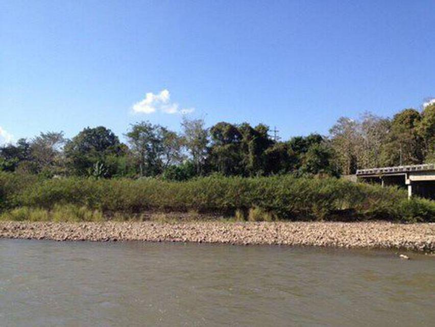 ขายที่ดินใกล้แหล่งท่องเที่ยวสะพานซูตองเป้ ติดแม่น้ำปาย บรรยากาศธรรมชาติ 5