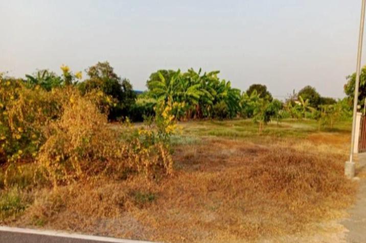 ให้เช่าที่ดินเปล่าถมแล้ว 226ตารางวาติดแม่น้ำน่านวิวสวย 5