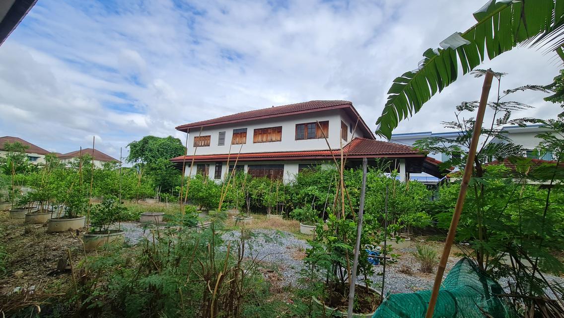 [ขายด่วน] ที่ดินแปลงใหญ่ 498 ตร.ว. พร้อมบ้านหลังใหญ่ ติดคลอง บรรยากาศร่มรื่น ย่านบางกรวย 4