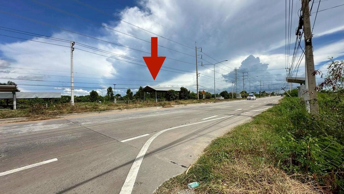 ขายที่ดินเปล่า เนื้อที่ 55-3-36 ไร่ ถนนศุขประยูร ตำบลหนองตีนนก อำเภอบ้านโพธิ์ จังหวัดฉะเชิงเทรา 3