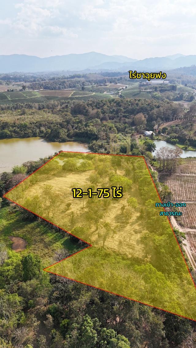 ประกาศขายที่ดิน ทำเลศักยภาพ ใกล้ไร่ชาฉุยฟง ตำบลศรีค้ำ อำเภอแม่จัน จังหวัดเชียงราย 57110 7