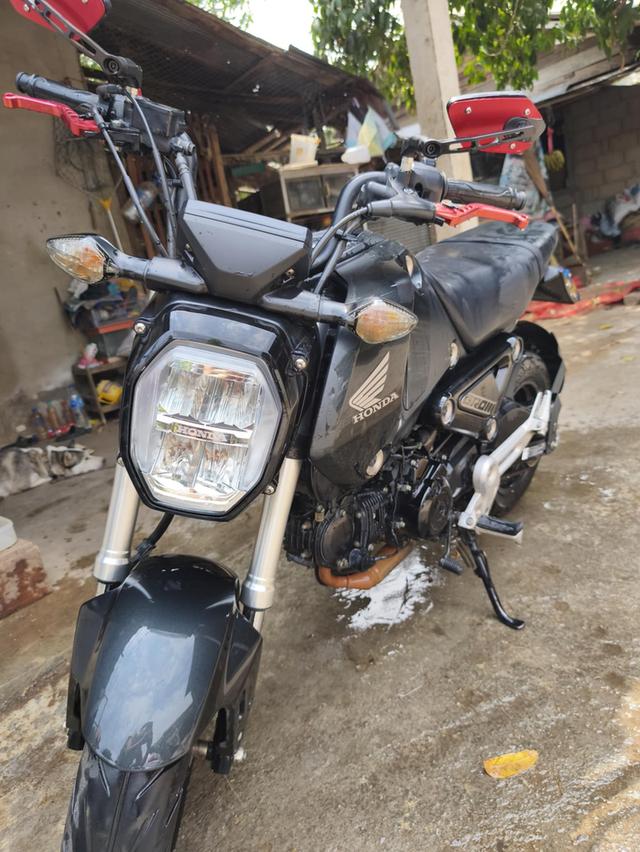 msx grom ปี2021 