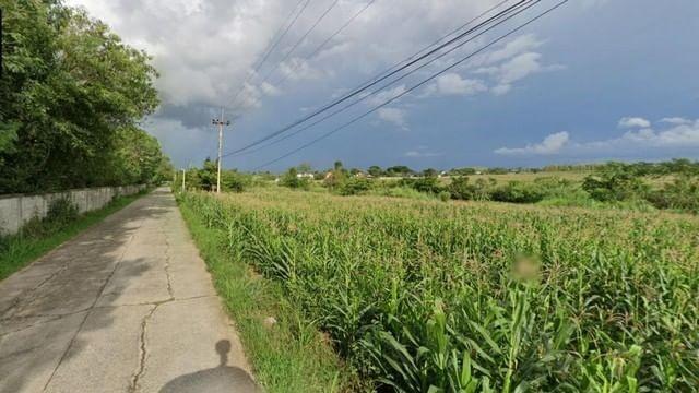 ขาย ที่ดิน ถนนสายบ้านตะเคียนทอง อำเภอปากช่อง นครราชสีมา