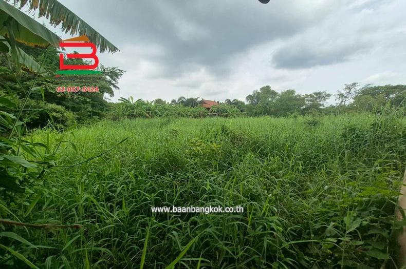 ที่ดินพร้อมสิ่งปลูกสร้าง ชุมชนบึงเตย ซอยประชาสำราญ 3 เนื้อที่ 200 ตรว. หนองจอก กรุงเทพมหานคร 12
