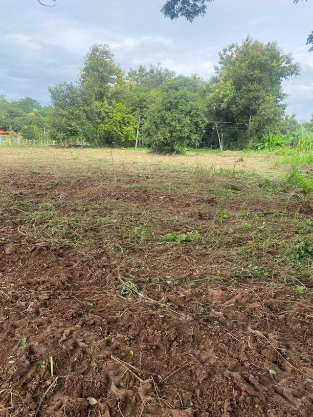 ที่ดินติดแม่น้ำนครนายก 9