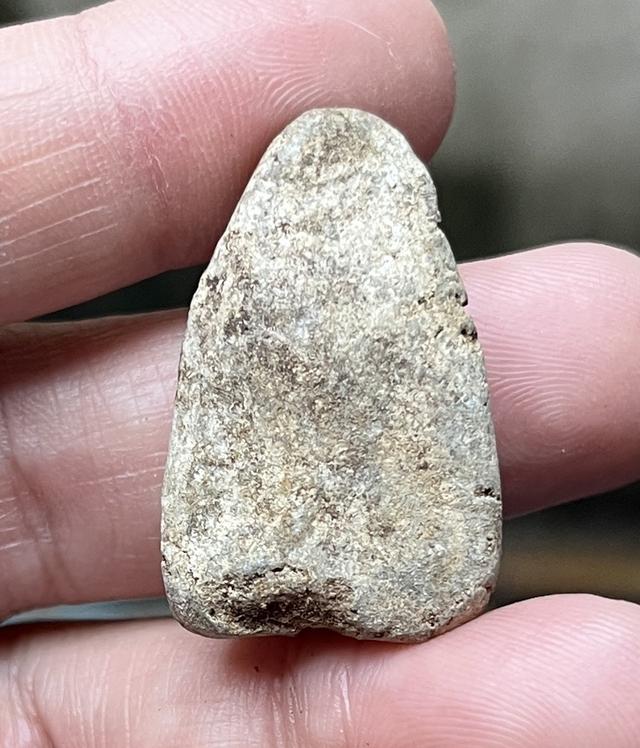 หลวงปู่ทวดเนื้อว่านเก่าๆ 2