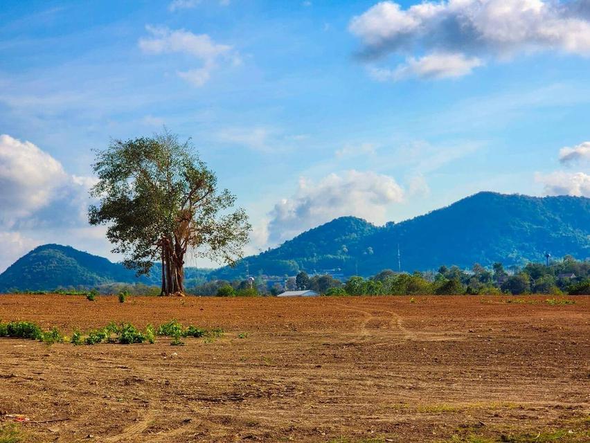 ขายที่ดินทำเลศักยภาพ ในอนาคตรถไฟฟ้าความเร็วสูงผ่าน และสนามบินนานาชาติอู่ตะเภา 6