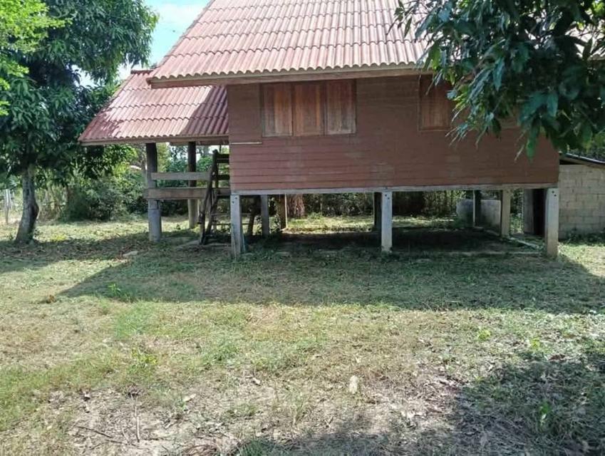ขายที่ดินวิวเขาอำเภอปากช่อง 1