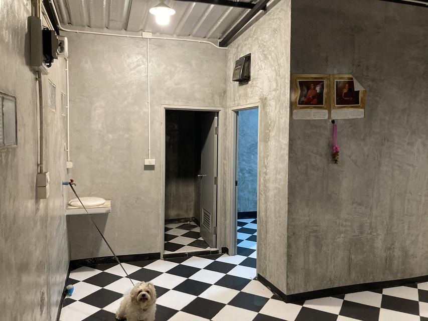 บ้านเช่าทั้งหลัง4500ย่านพระรามสอง แสมดำทำเลดี