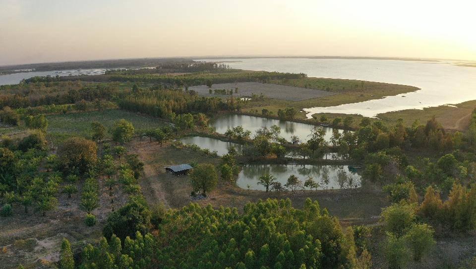 ขายที่ดินติดเขื่อนลำปาว กาฬสินธุ์ พื้นที่รวม 55 ไร่ เหมาะพัฒนารีสอร์ทหรือโครงการท่องเที่ยว 3