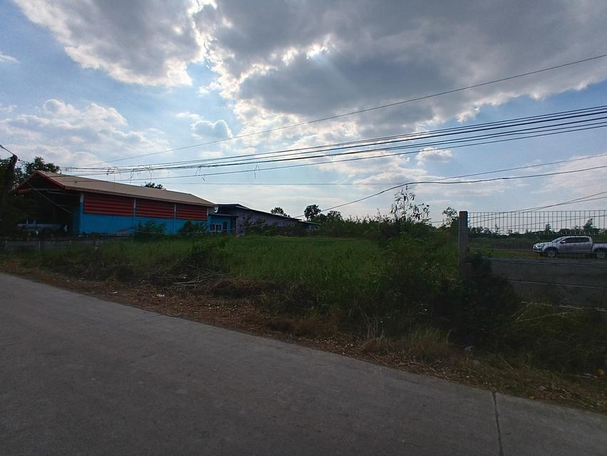 ที่ดิน 10 ไร่ 2 งาน 90 ตารางวา หนองเสือ ปทุมธานี ติดถนนเลียบคลอง10ฝั่งตะวันตก 5